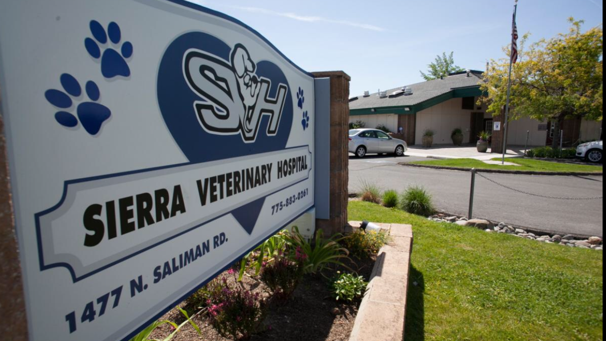 Sierra Veterinary Hospital