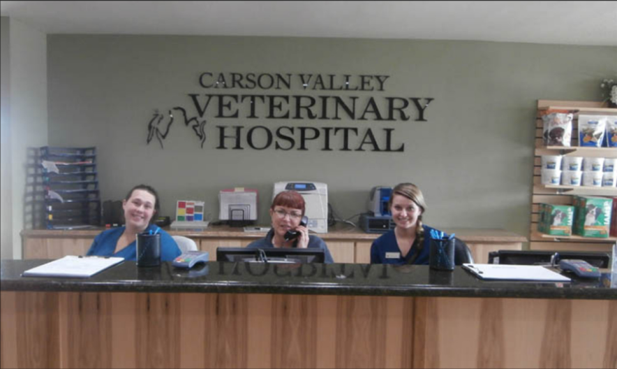 Carson Valley Veterinary Hospital