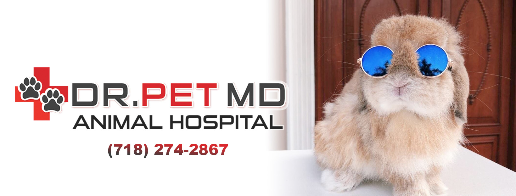 Dr Pet MD