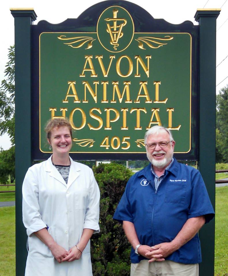 Avon Animal Hospital