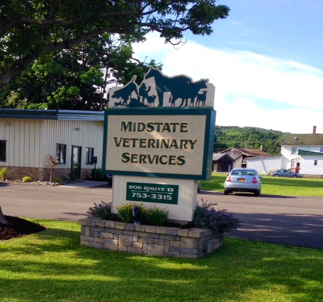 Midstate Veterinary Services