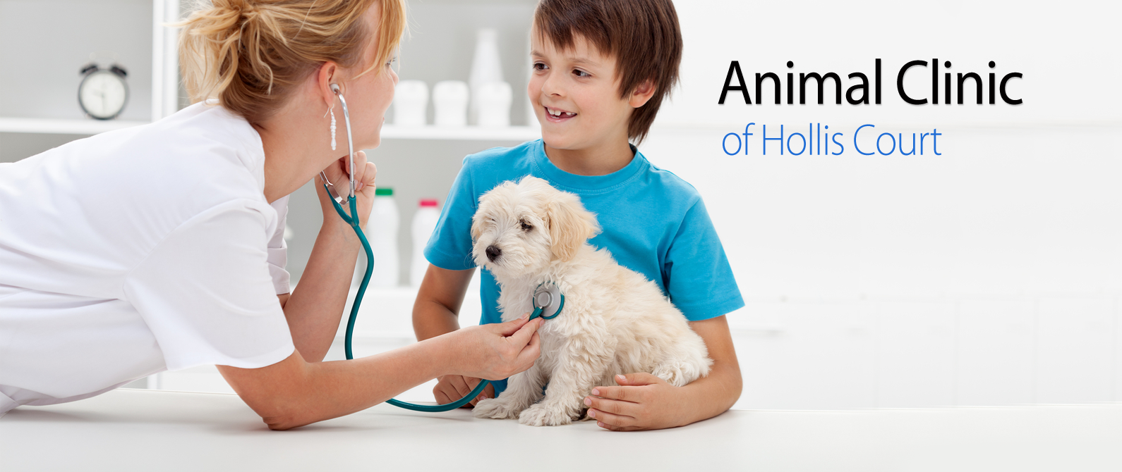 Animal Clinic of Hollis Court