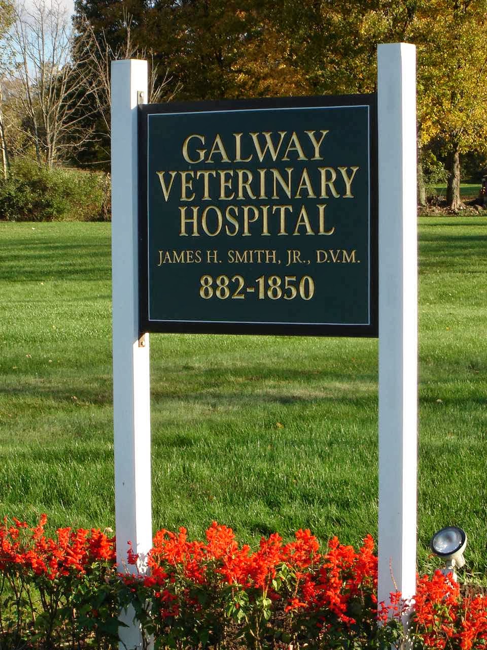 Galway Veterinary Hospital