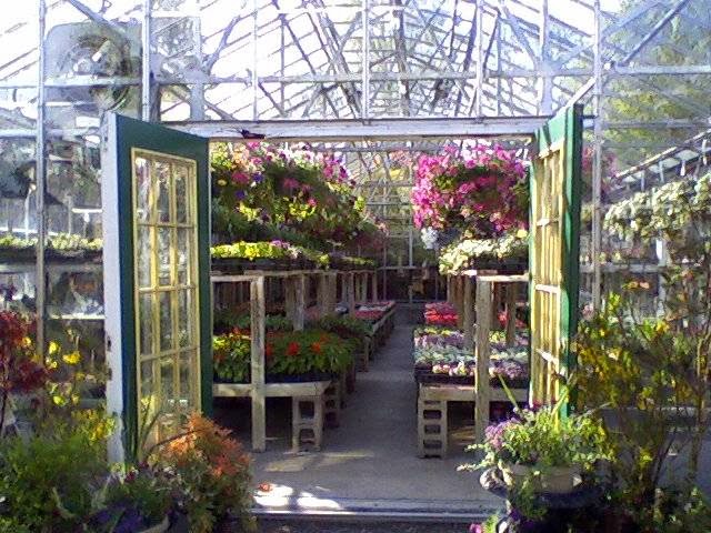 Tom's Greenhouses and Florist