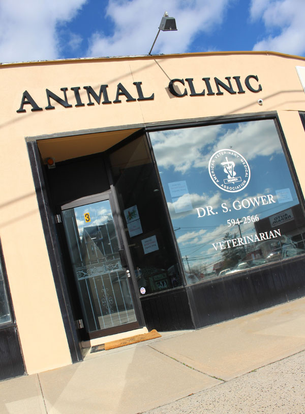 Woods Avenue Animal Clinic