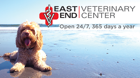 East End Veterinary Center