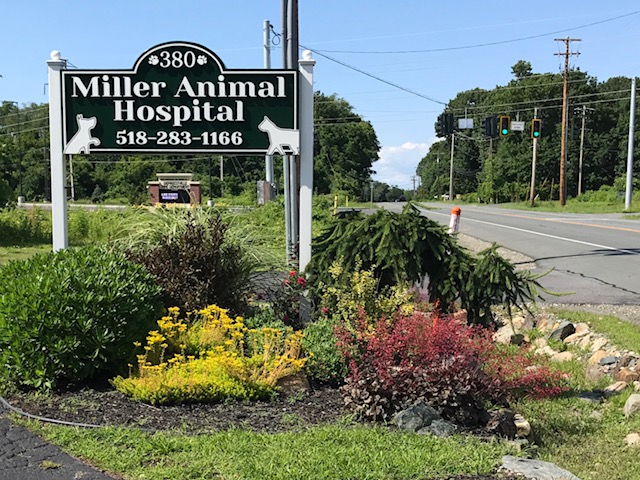 Miller Animal Hospital