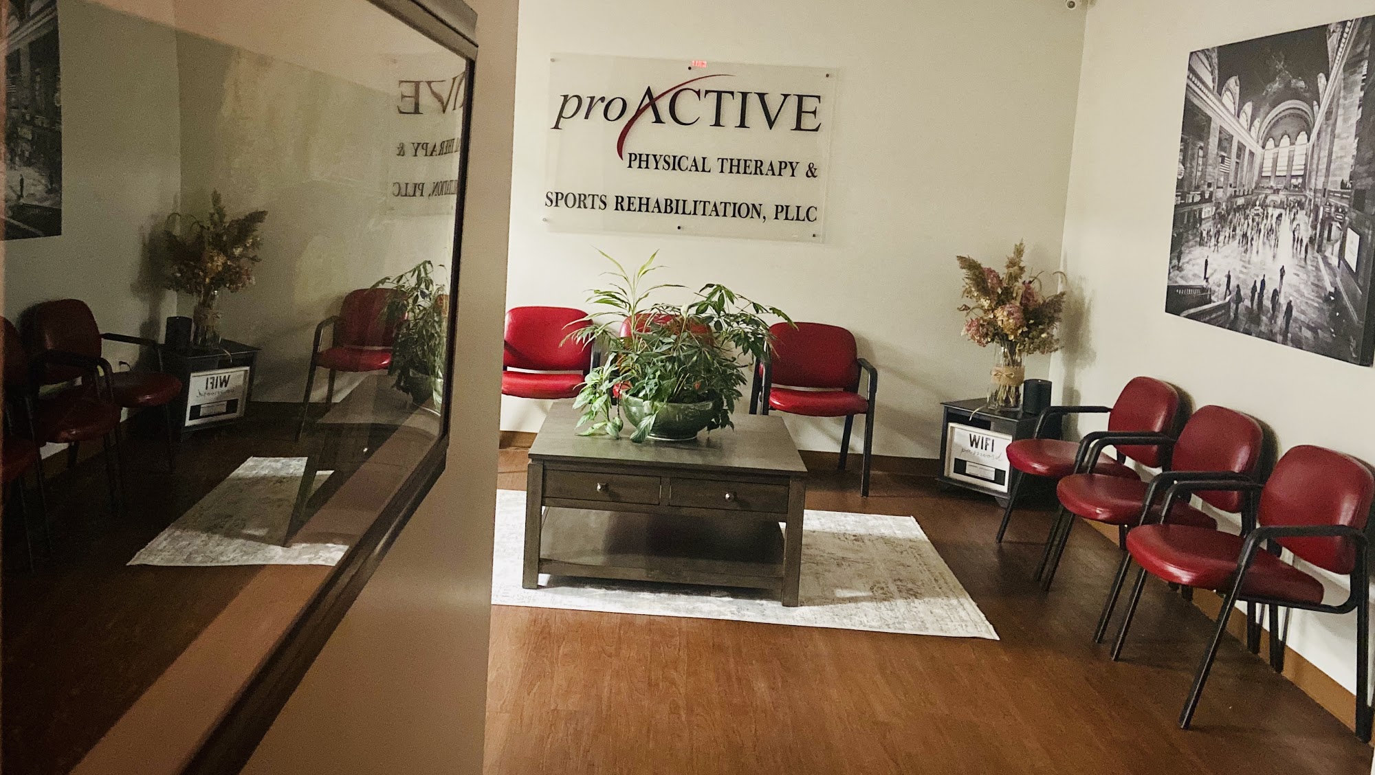 Proactive Physical Therapy & Sports Rehabilitation, PLLC