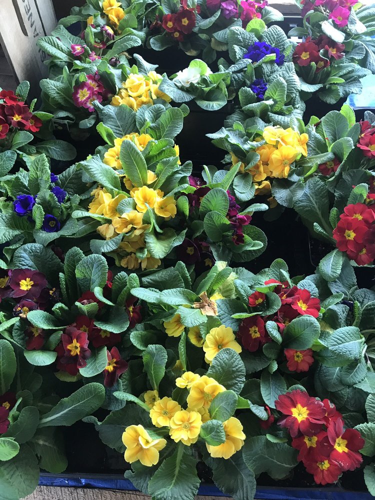 RUSSELL FARMS VESTAL Vestal NY Hours, Directions, Reviews Loc8NearMe