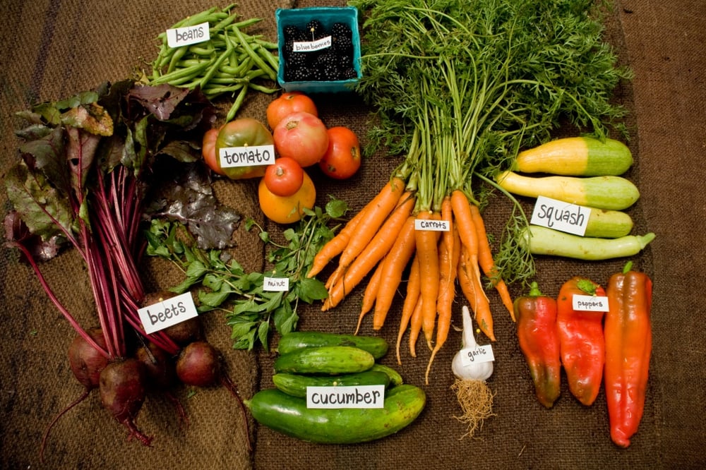 RUSSELL FARMS VESTAL Vestal NY Hours, Directions, Reviews Loc8NearMe