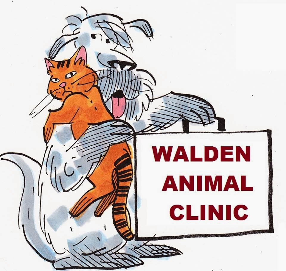 Walden Animal Clinic: Stephen Kelly DVM and Alicia Rich DVM