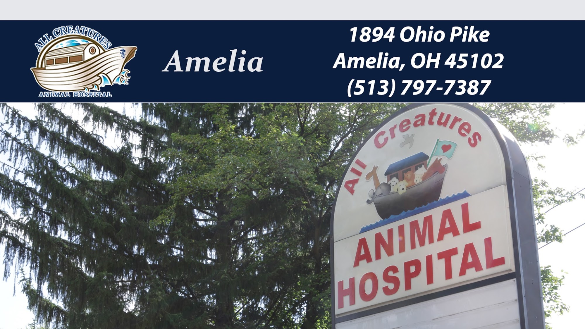 All Creatures Animal Hospital - Amelia