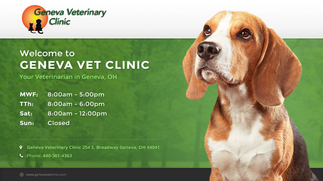Geneva Veterinary Clinic