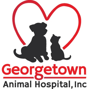 Georgetown Animal Hospital: Chalker Debra C DVM