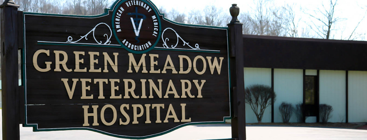 Green Meadow Veterinary Hospital