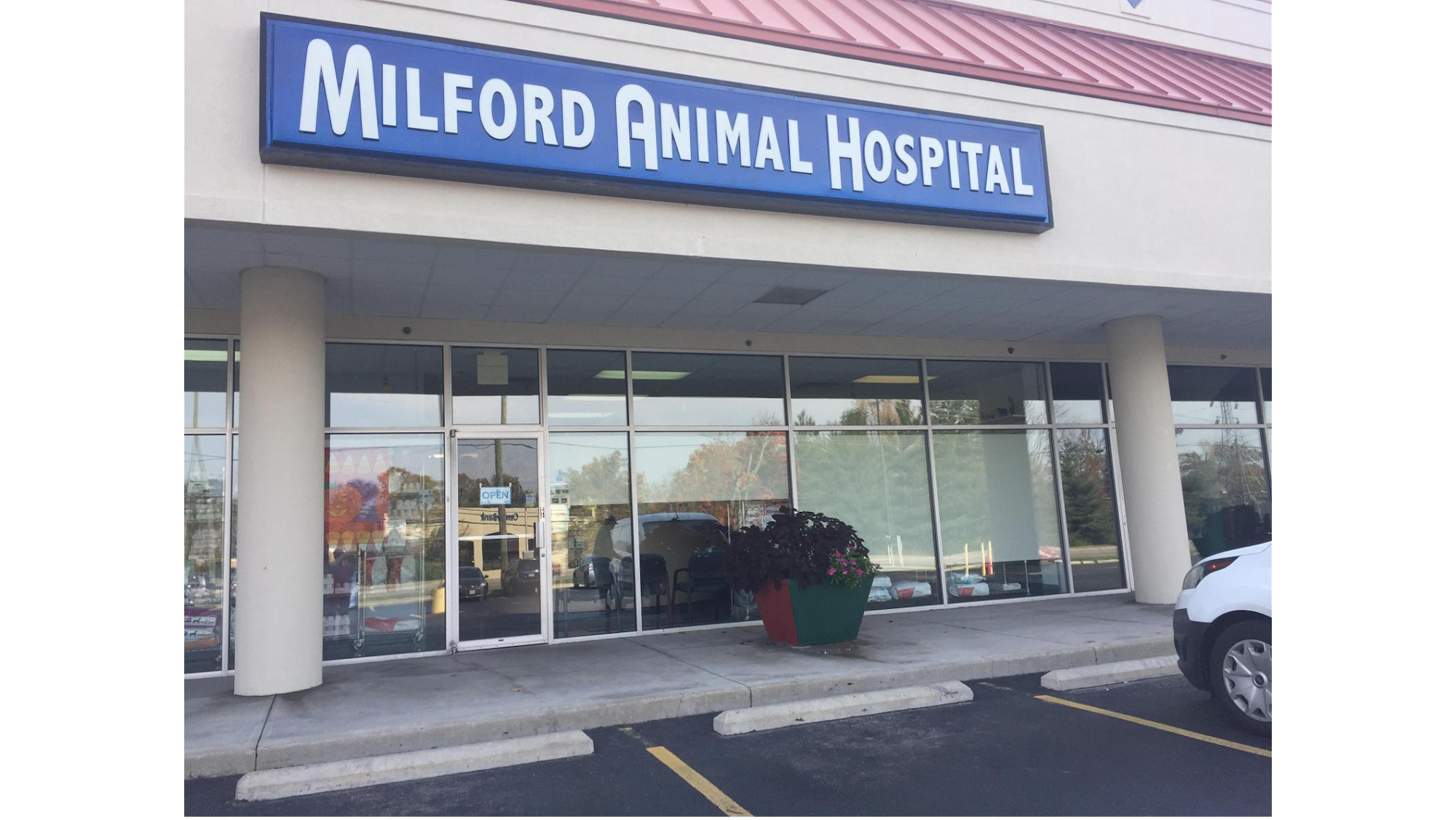 Milford Animal Hospital