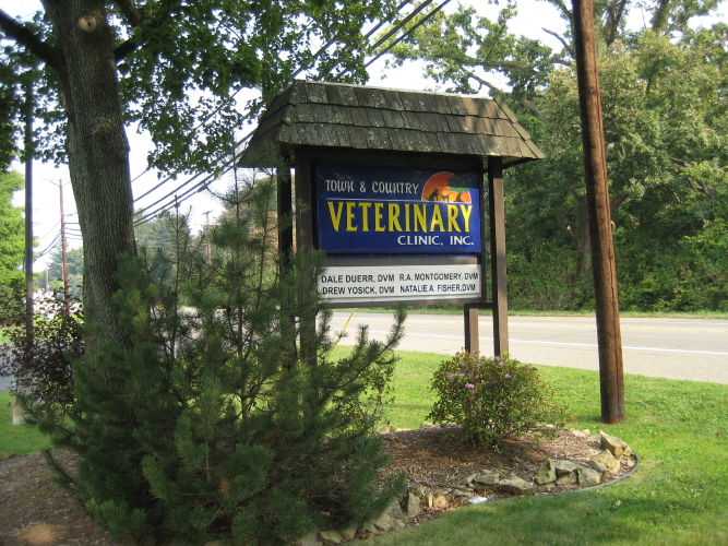 Town & Country Veterinary Clinic: Yosick Drew DVM