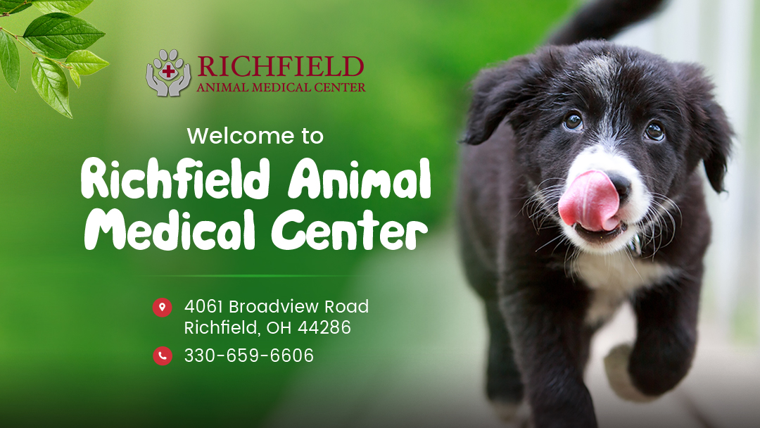 Richfield Animal Medical Center