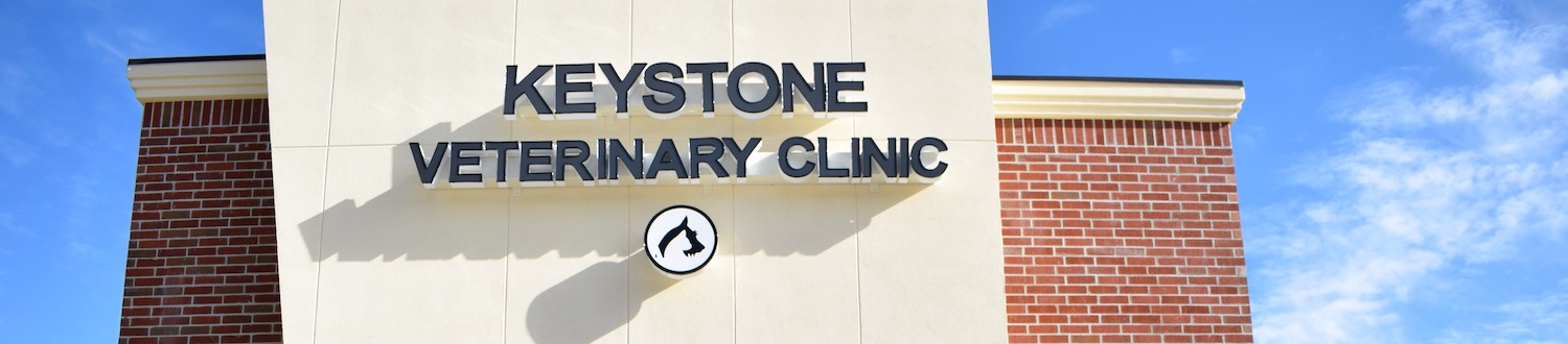 Keystone Veterinary Clinic