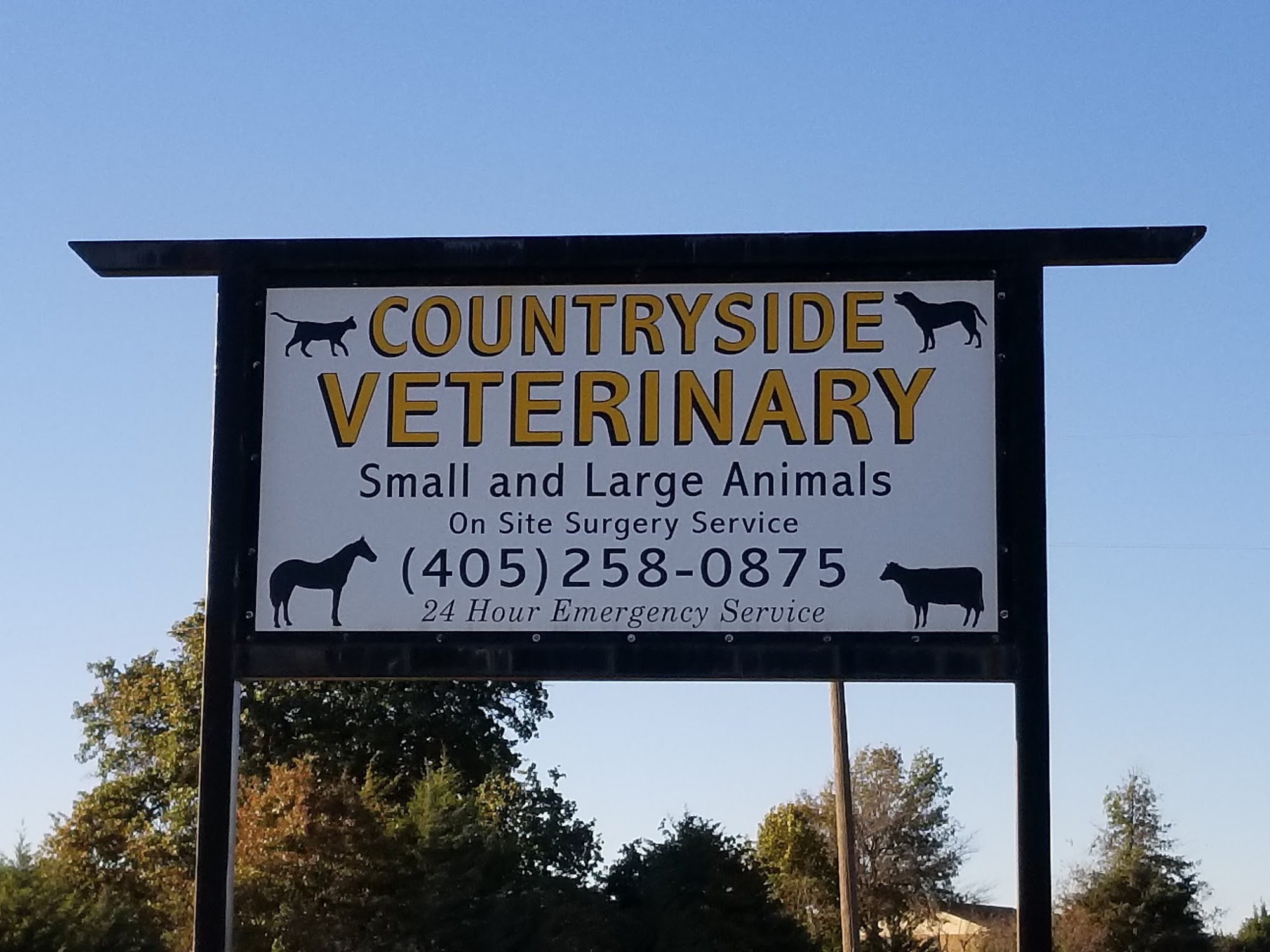 Countryside Veterinary Services: Lisa Mauzerall DVM