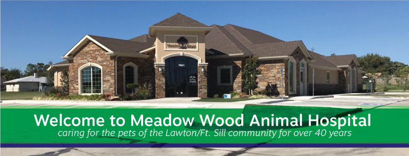 Meadow Wood Animal Hospital