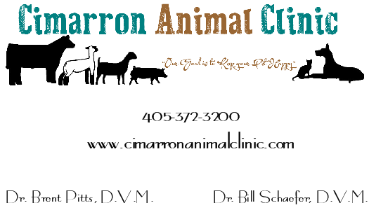 Cimarron Animal Clinic