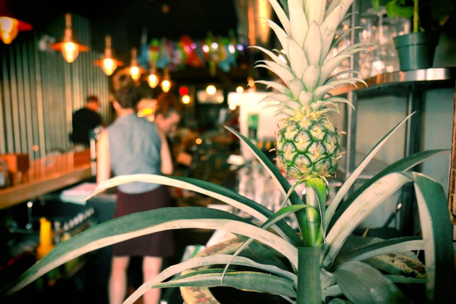 Photo credit: yellowpages.ca