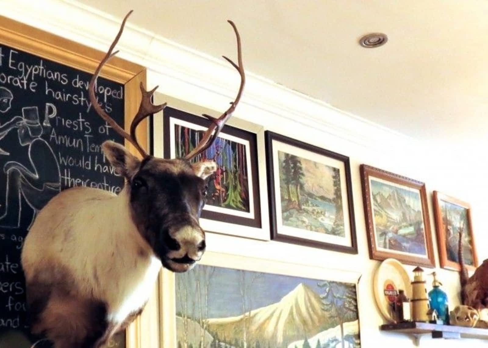 Photo credit: yellowpages.ca