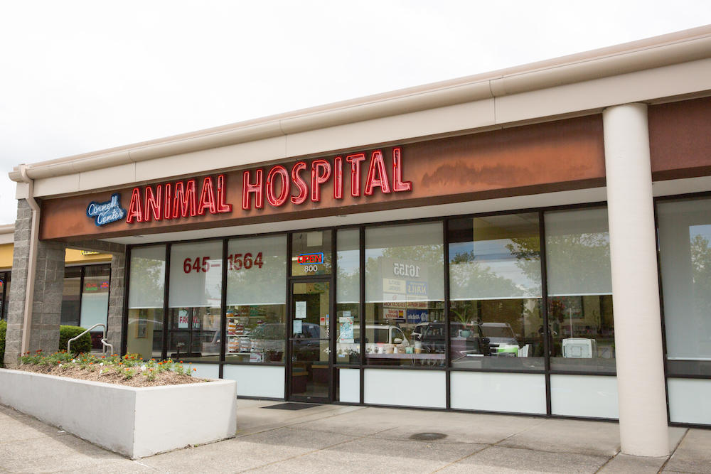 Cornell Center Animal Hospital