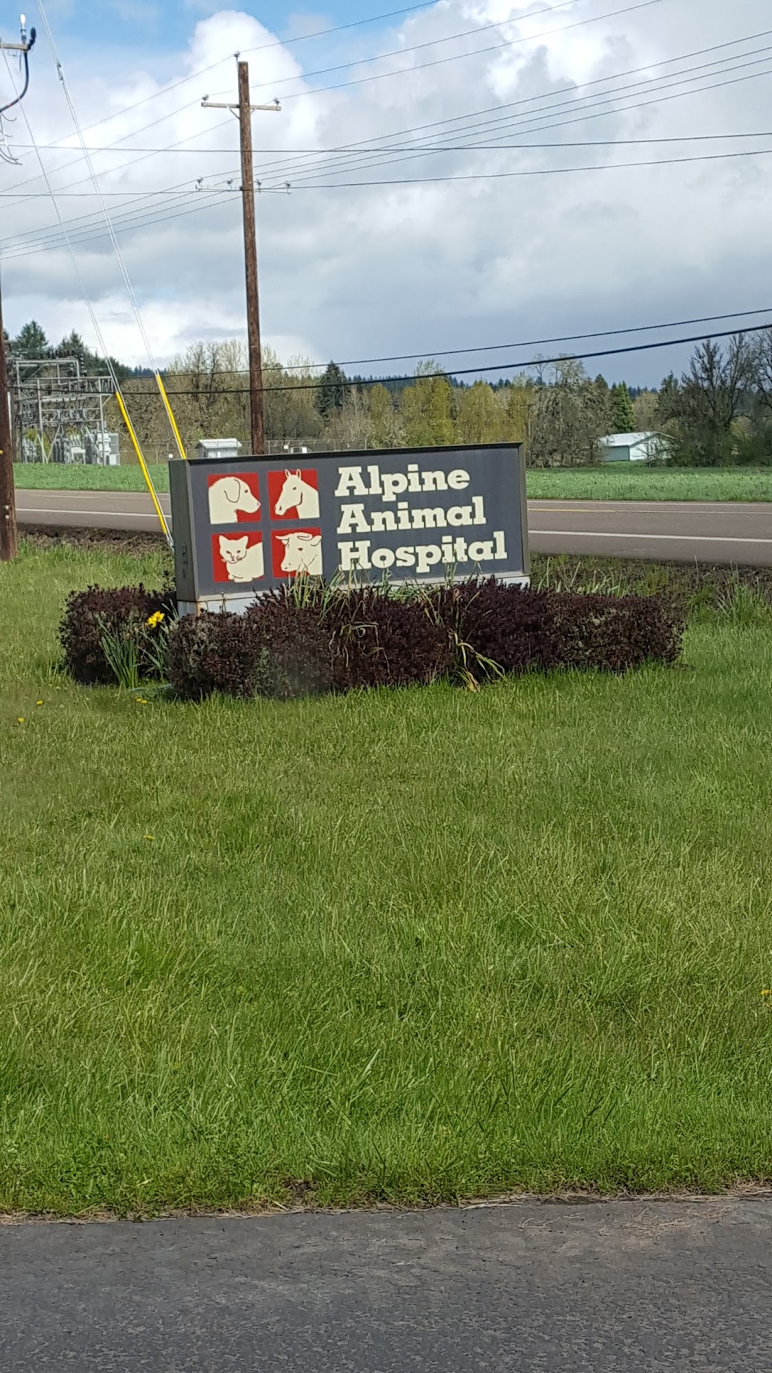 Alpine Animal Hospital PC: Clark Dale C DVM