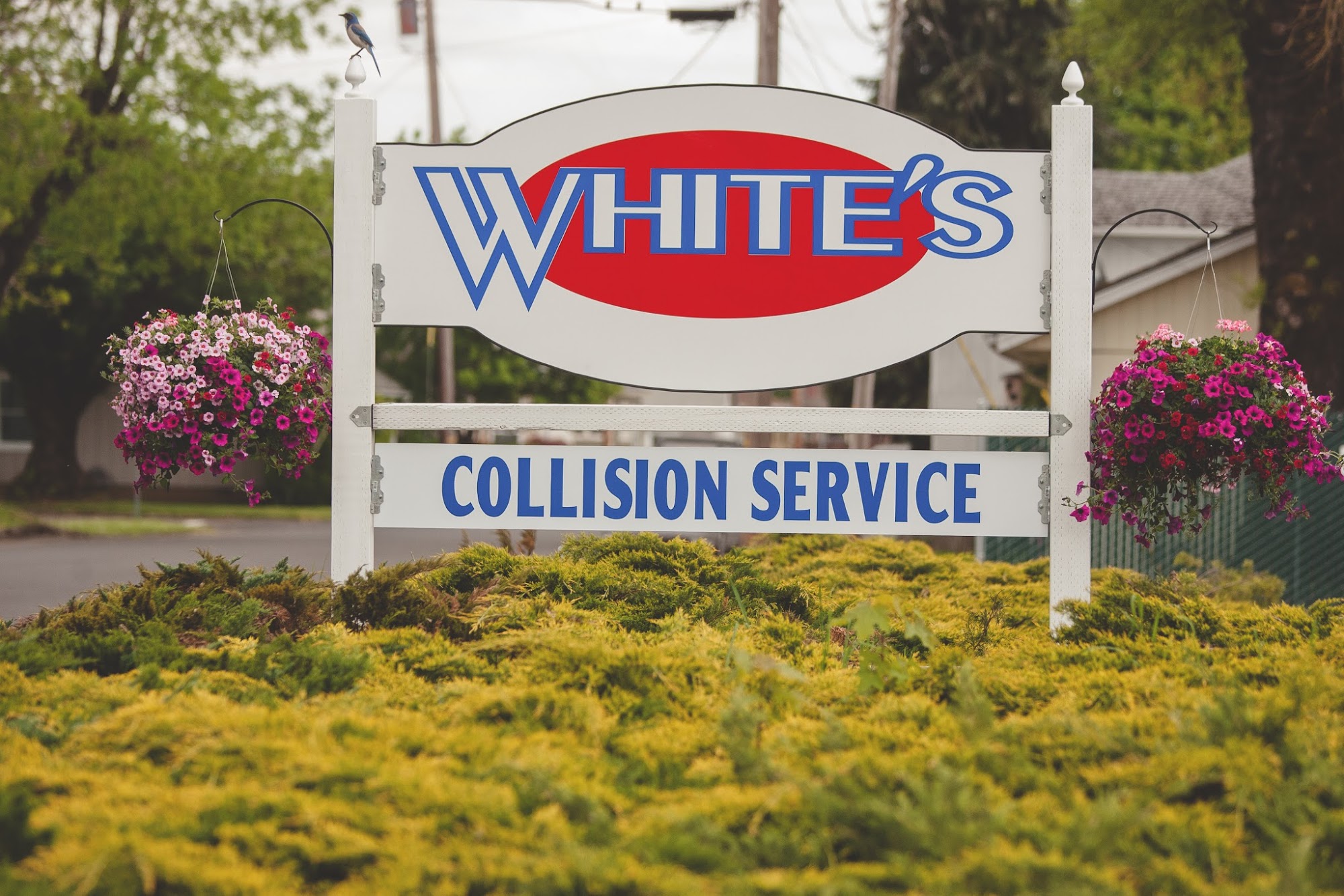 White's Collision Service