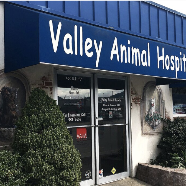 valley animal hospital