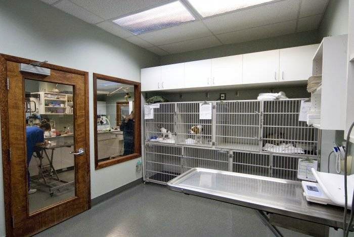 VCA Salem Animal Hospital