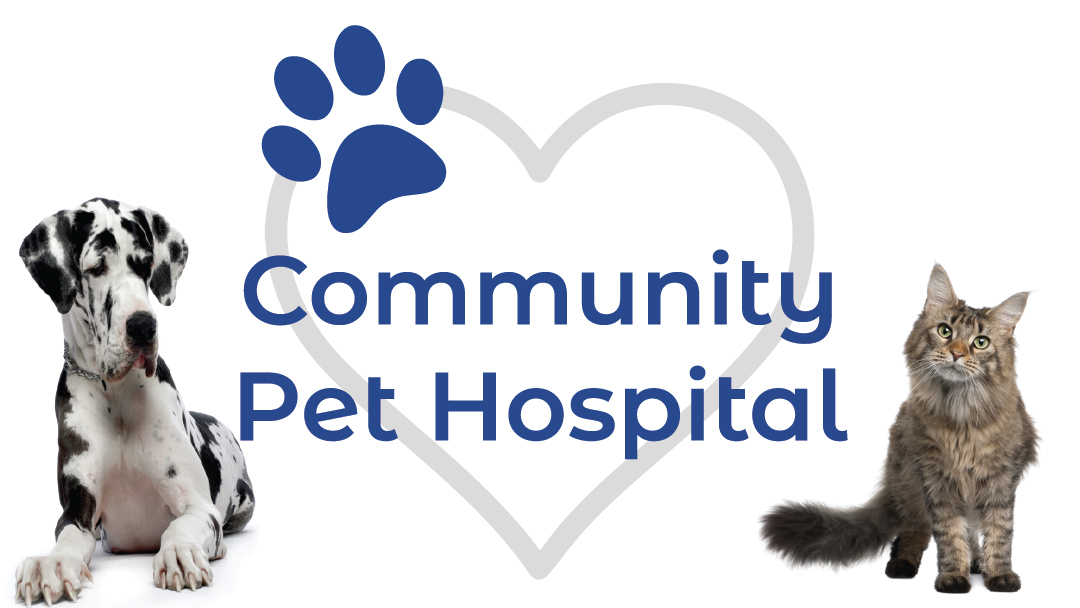 Community Pet Hospital, A Thrive Pet Healthcare Partner