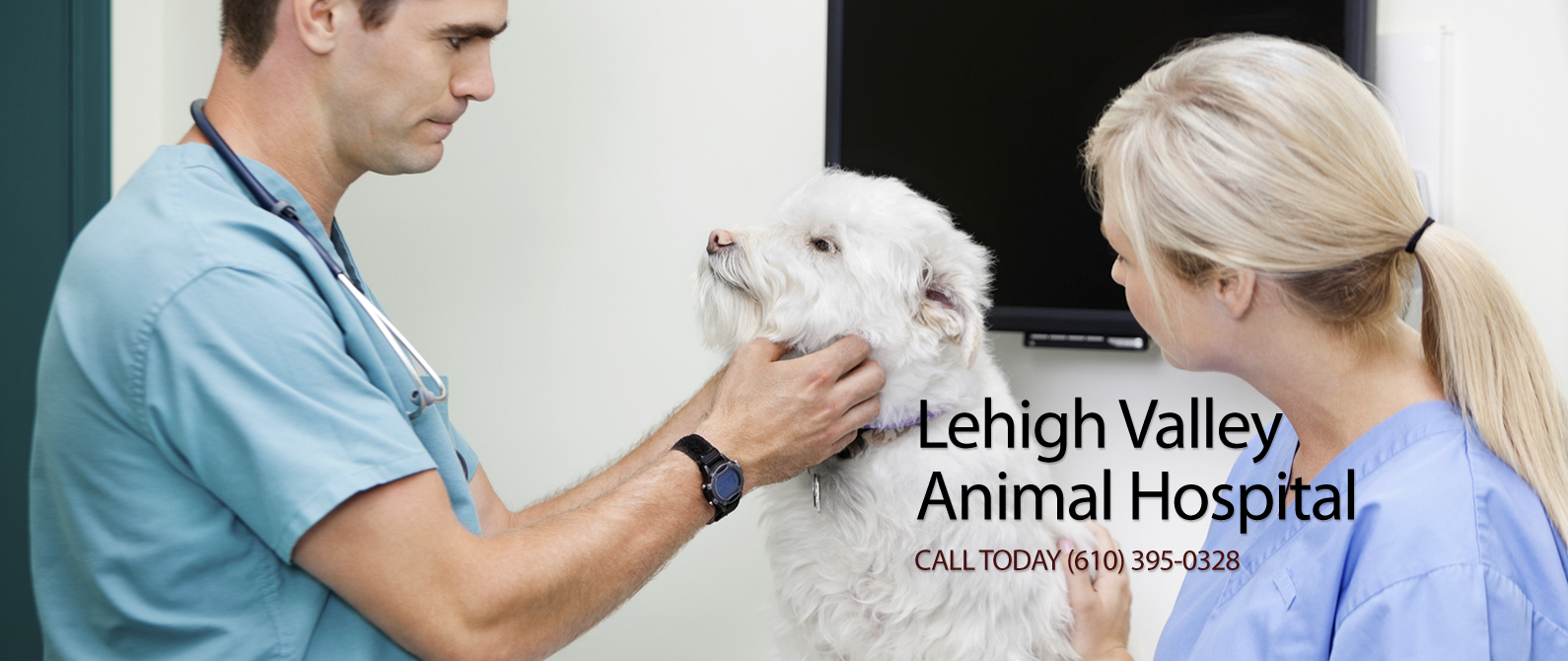 Lehigh Valley Animal Hospital
