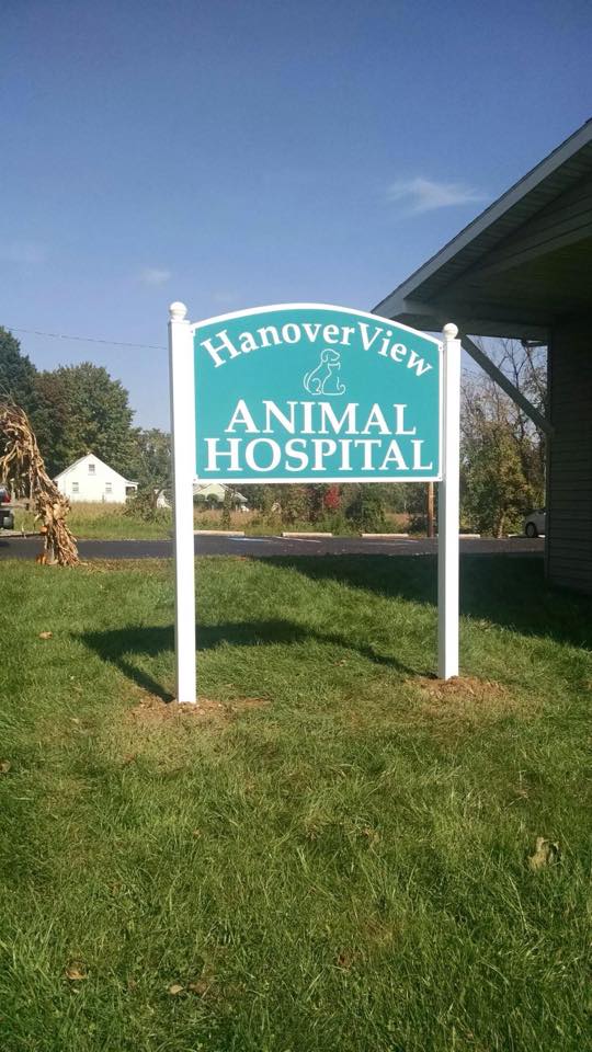 HanoverView Animal Hospital