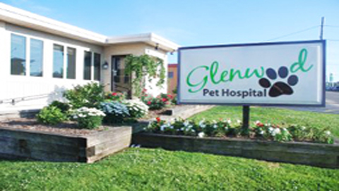 Glenwood Pet Hospital: Dr. Erica Jewell