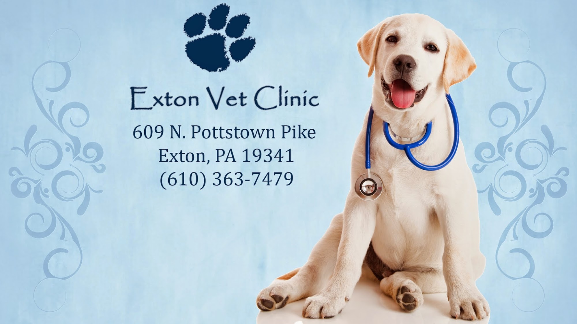 Exton Vet Clinic
