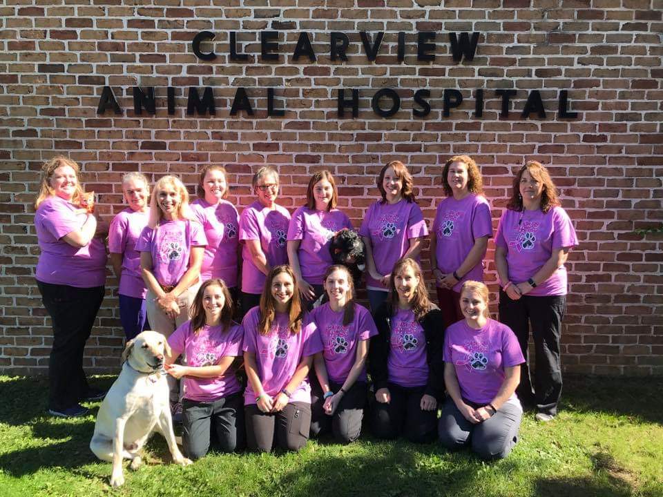 Clearview Animal Hospital