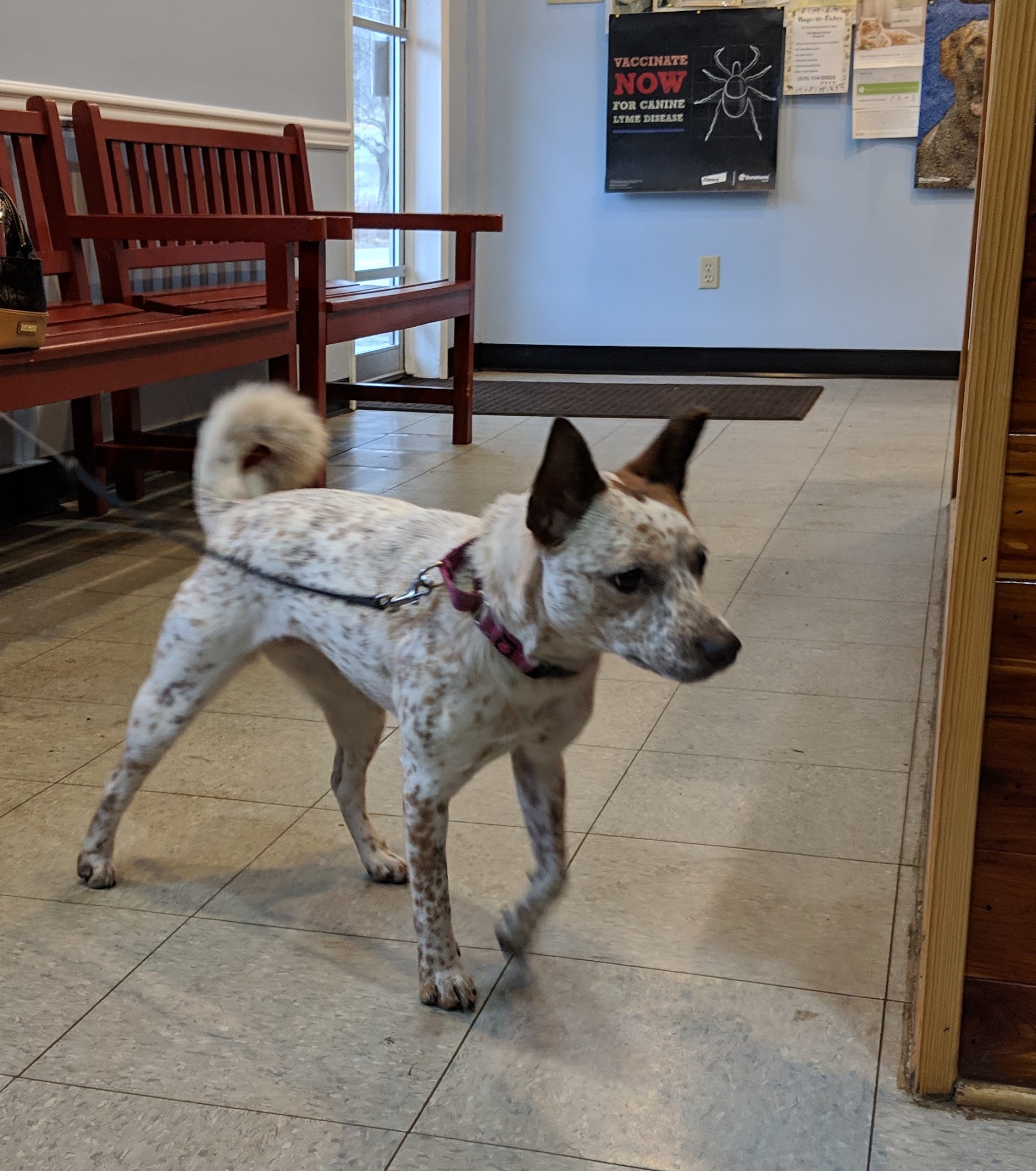 Sweet Valley Veterinary Clinic