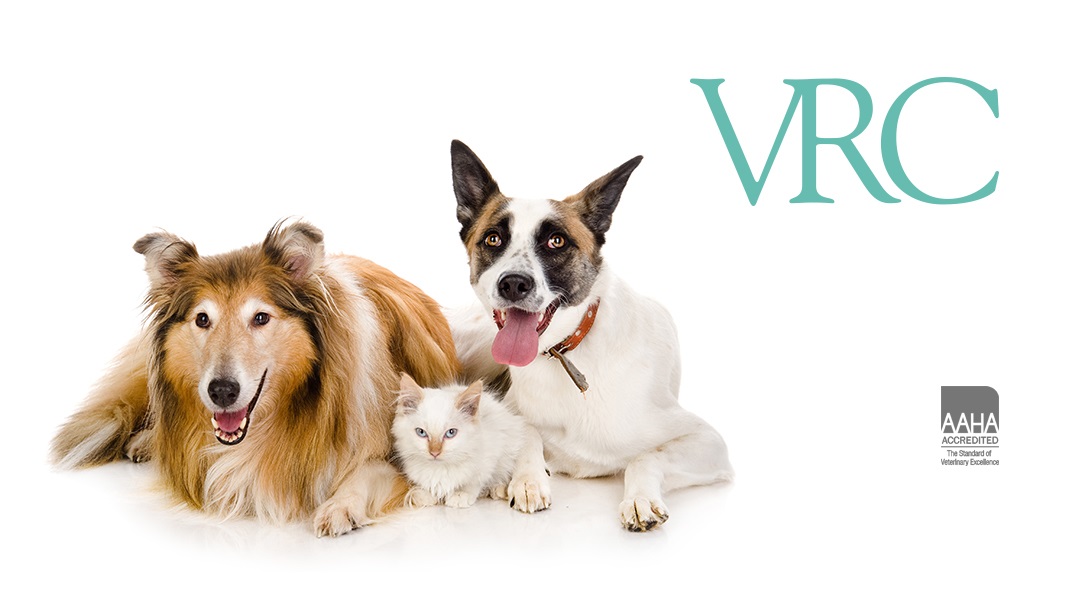 Veterinary Referral Center (VRC)