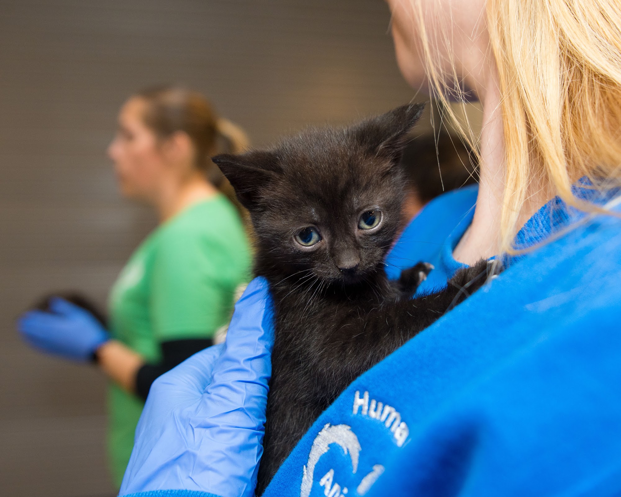 Humane Animal Rescue of Pittsburgh