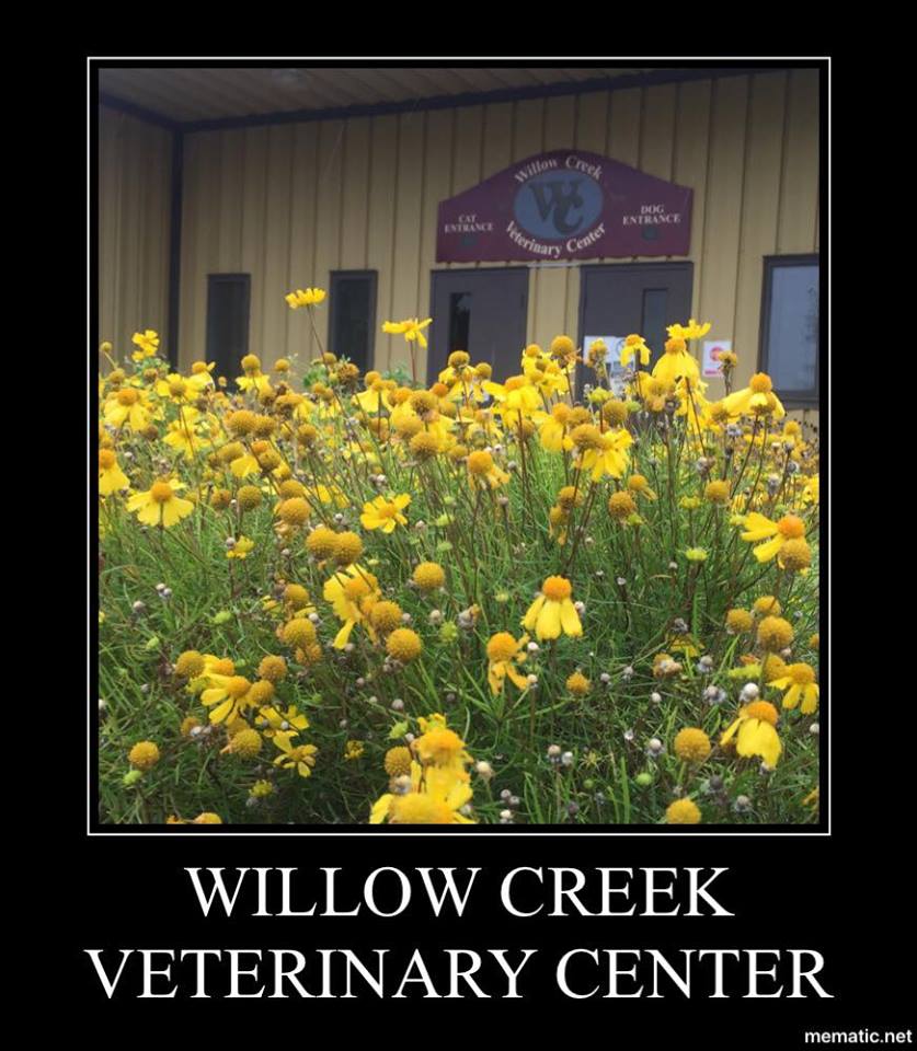 Willow Creek Veterinary Center