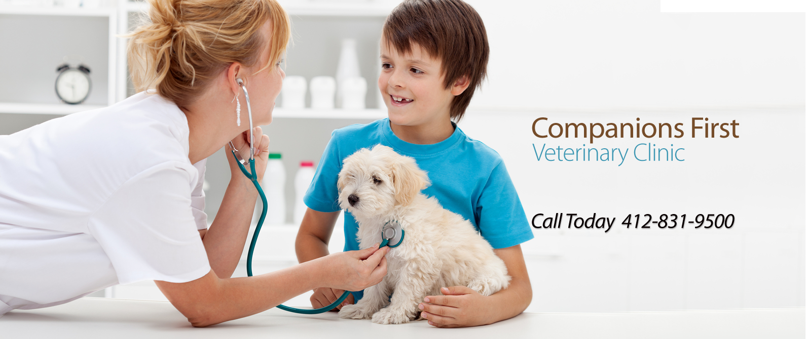 Companions First Vet Clinic