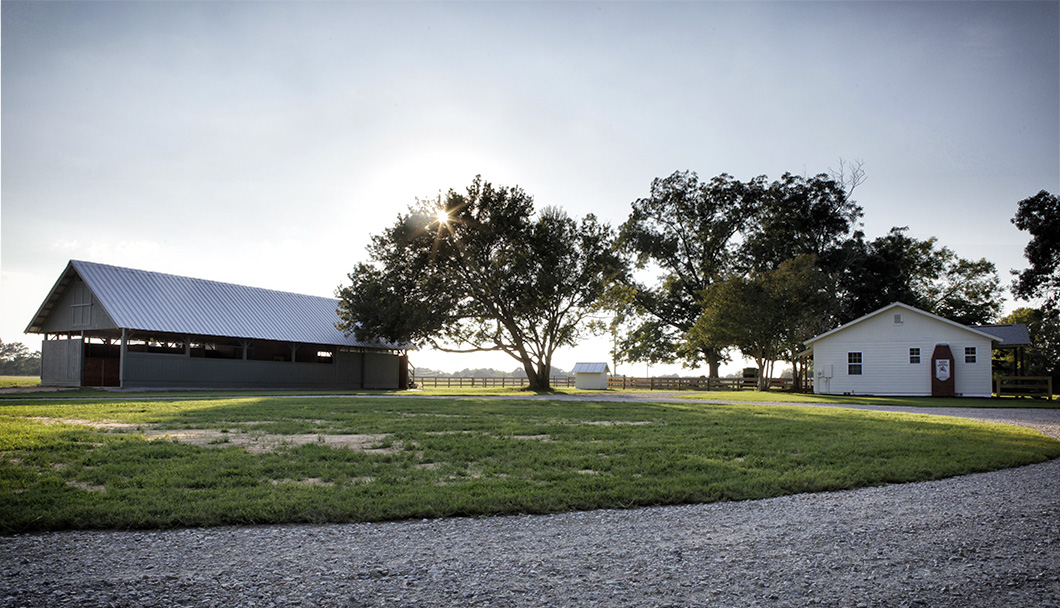 Aiken Equine Veterinary Associates