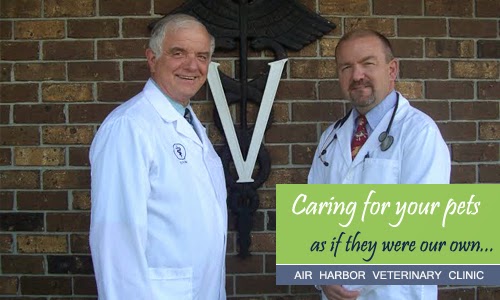 Air Harbor Veterinary Clinic