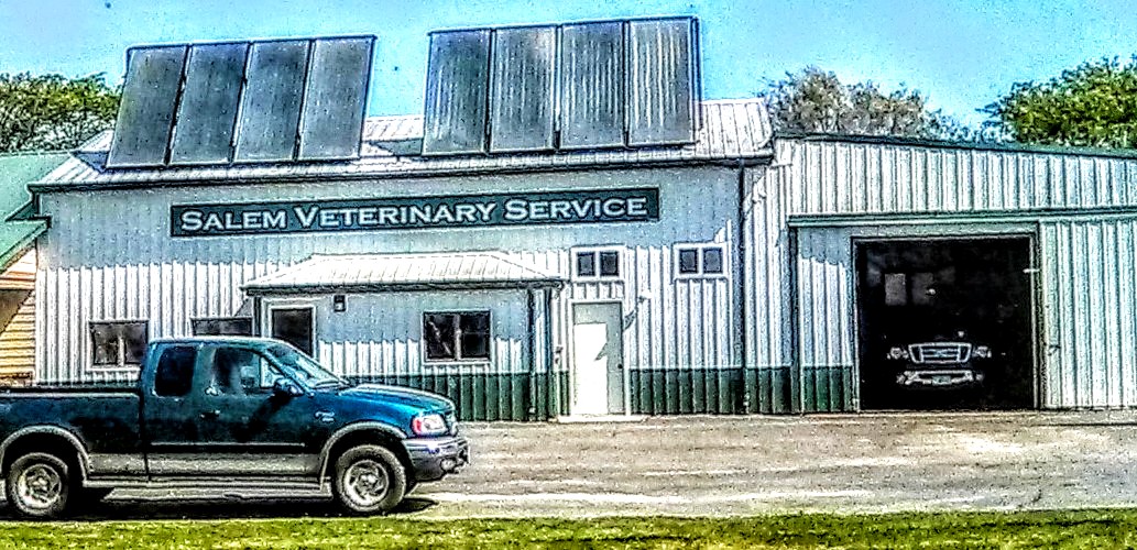 Salem Veterinary Services 702 S Oliver St, Salem South Dakota 57058