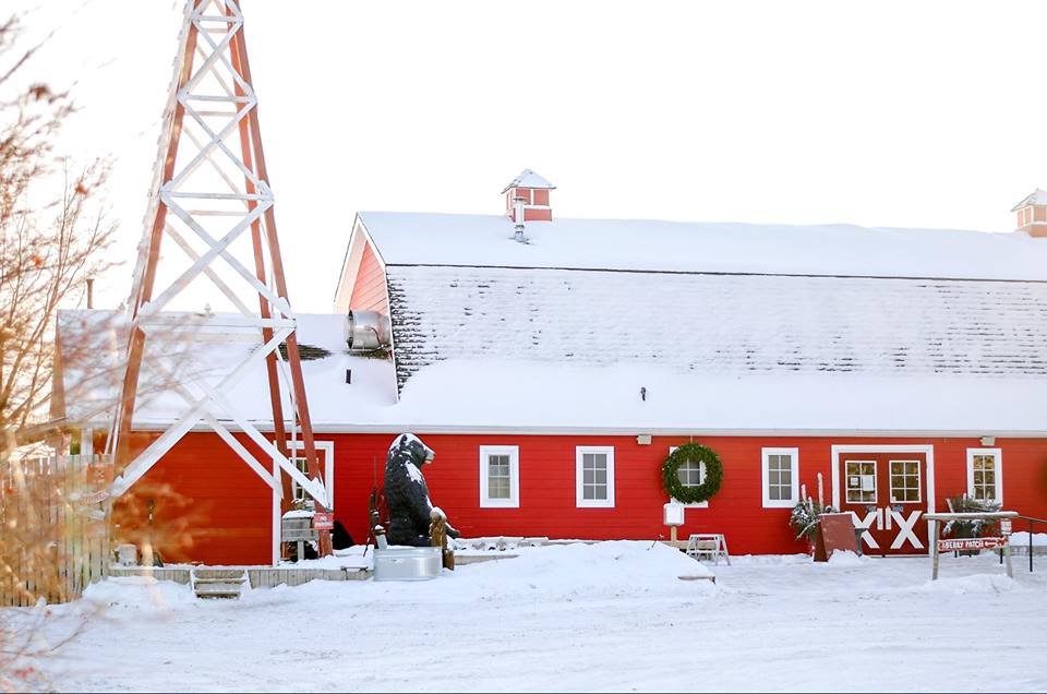 Photo credit: tripadvisor