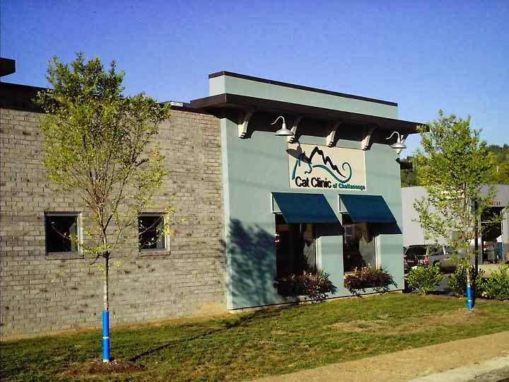 Cat Clinic of Chattanooga