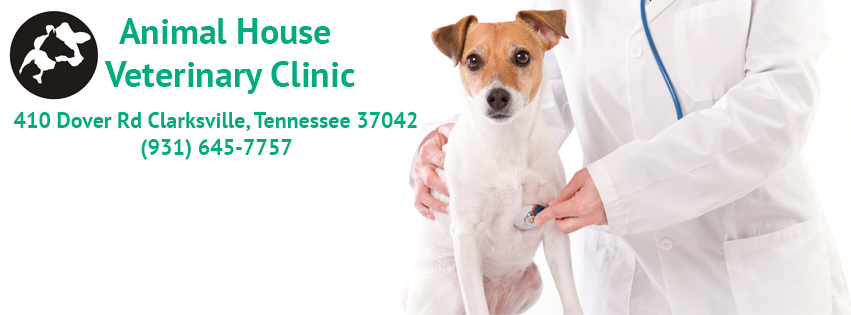 Animal House Veterinary Clinic